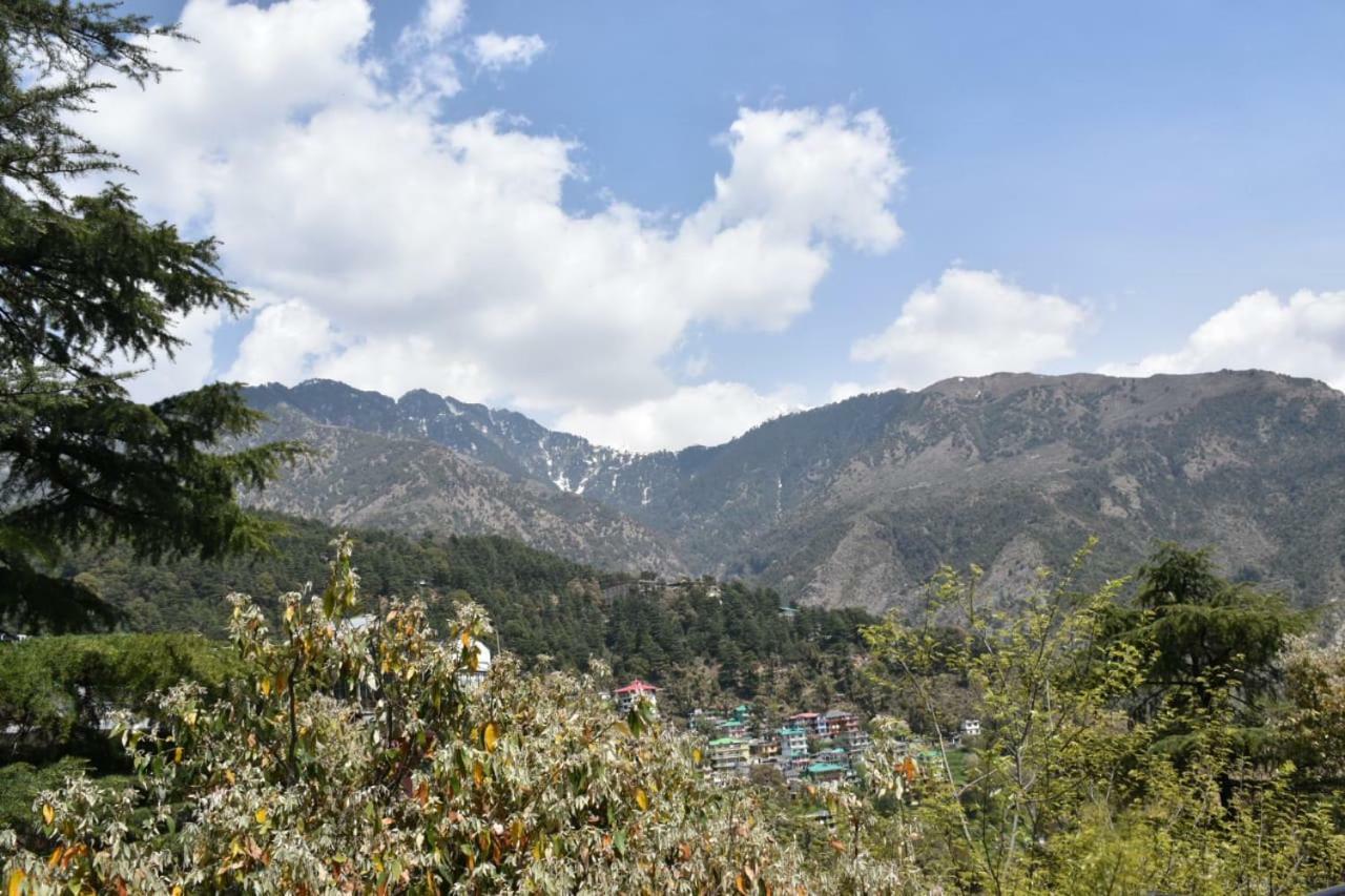 Misty Woods Otel Dharamshala Dış mekan fotoğraf