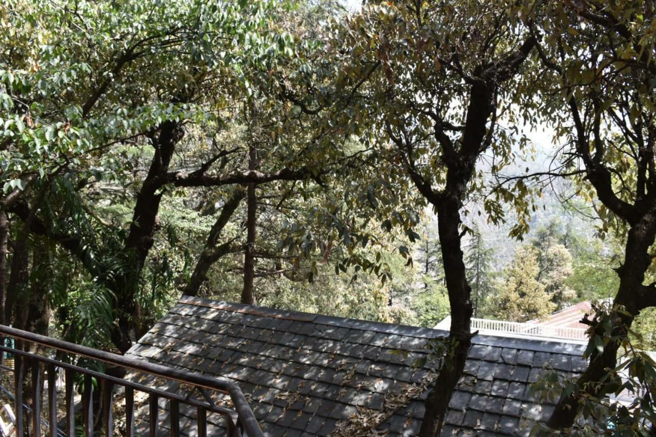 Misty Woods Otel Dharamshala Dış mekan fotoğraf