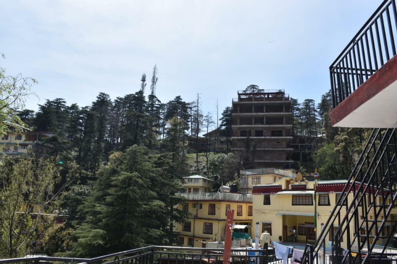 Misty Woods Otel Dharamshala Dış mekan fotoğraf