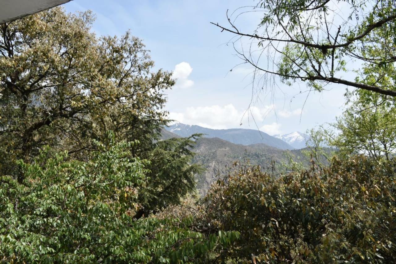 Misty Woods Otel Dharamshala Dış mekan fotoğraf