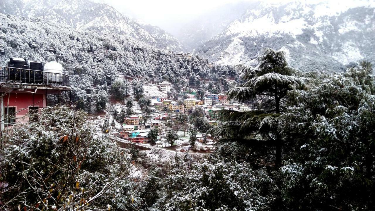 Misty Woods Otel Dharamshala Dış mekan fotoğraf