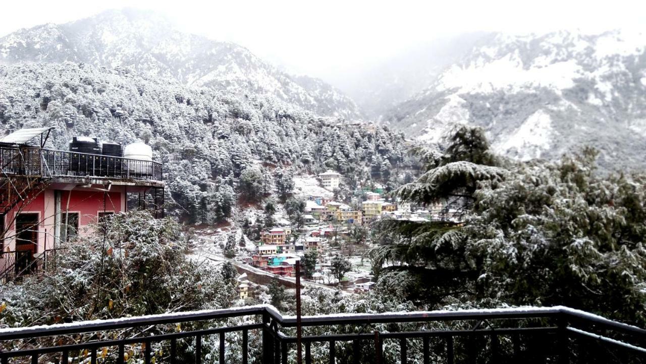 Misty Woods Otel Dharamshala Dış mekan fotoğraf